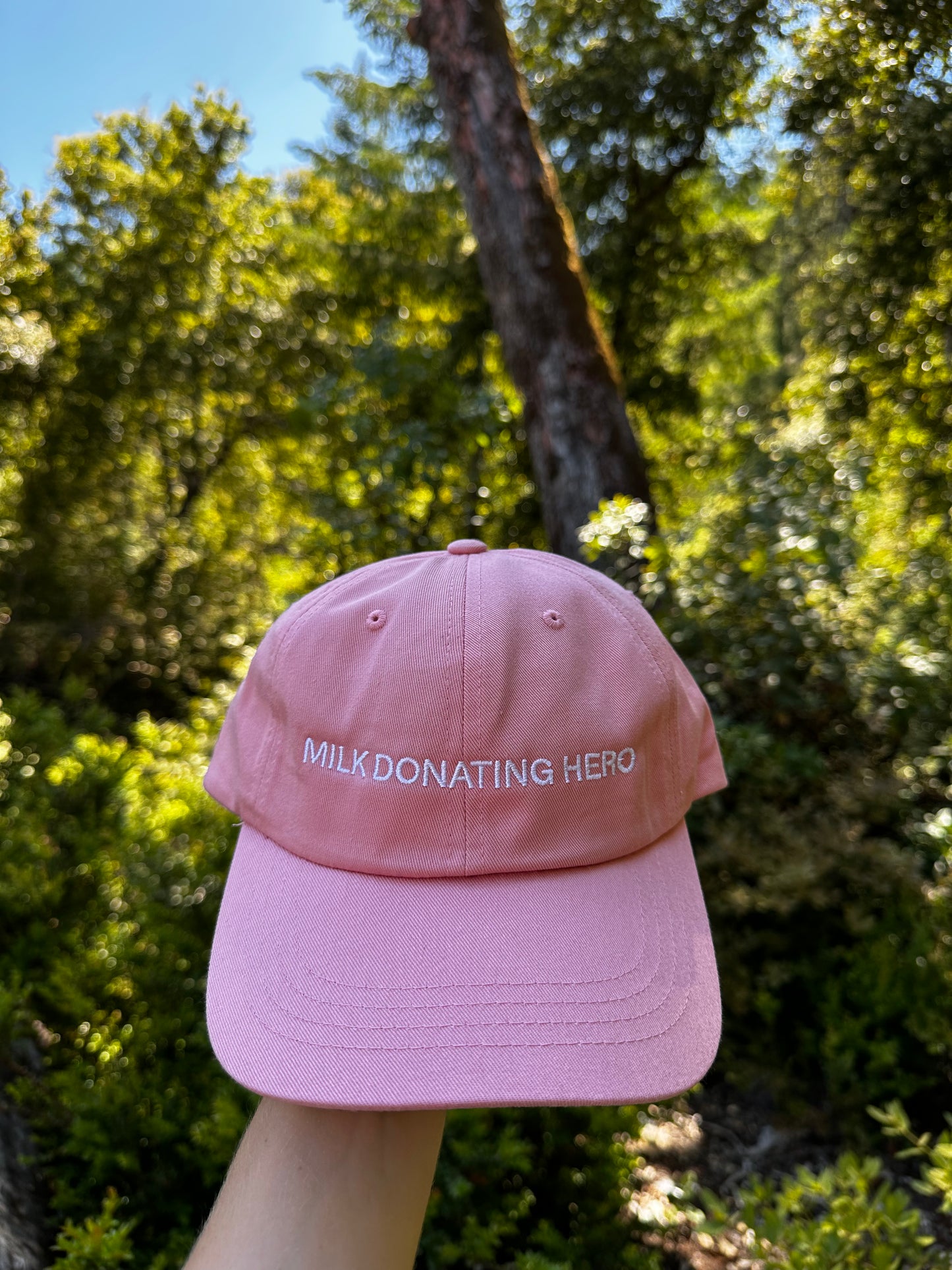 MDH dad cap