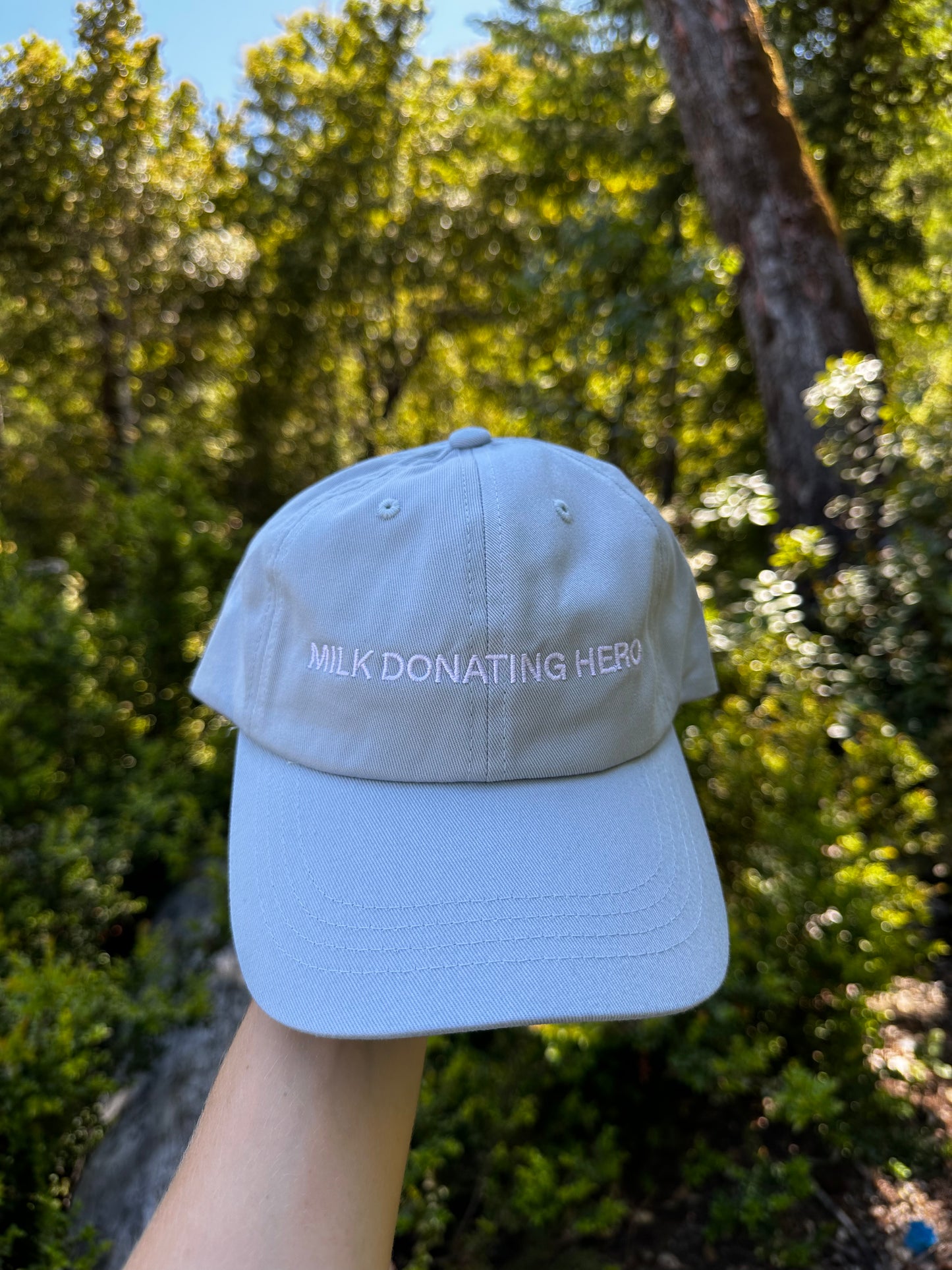 MDH dad cap